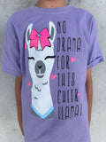 No Drama for Cheer Llama